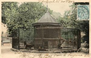Jardin d'Acclimatation - 1904