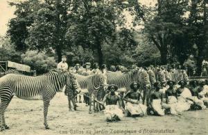 Les Gallas au Jardin Zoologique d'Acclimatation