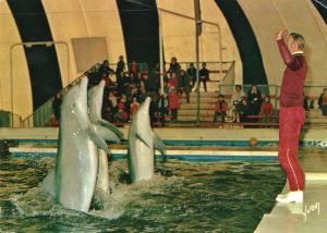 Delphinarium du Jardin d'Acclimatation - 1974