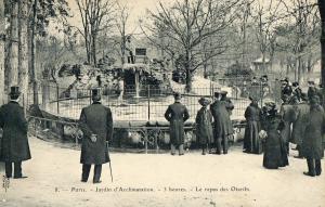 75 Jardin d'Acclimation du Bois de Boulogne