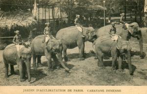 Caravane indienne