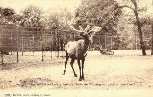 Chalet des Cerfs