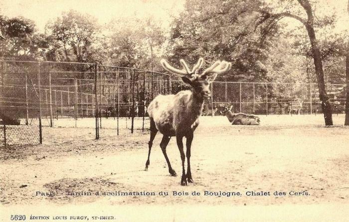 Chalet des Cerfs