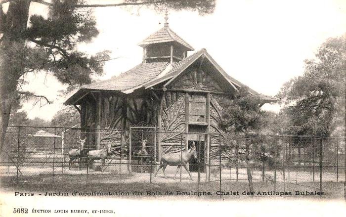 Chalet des Antilopes Bubales - 1905