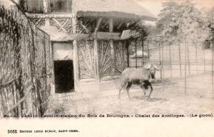 Chalet des Antilopes - Le Gnou