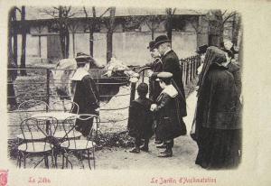 Le Zébu