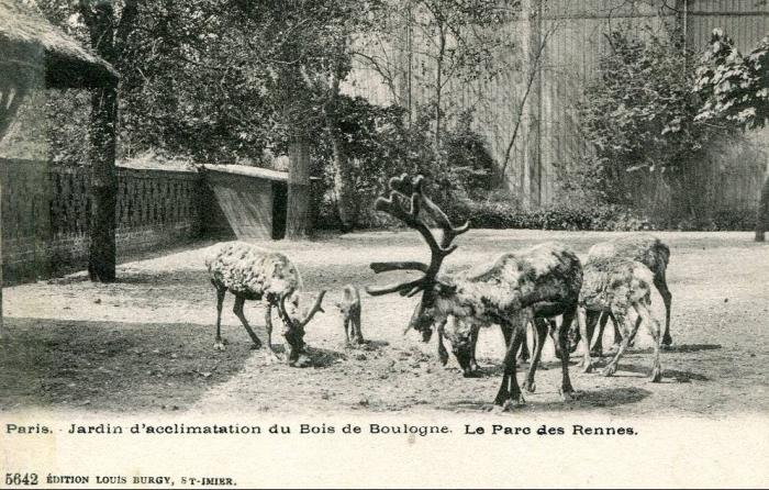 Parc des Rennes