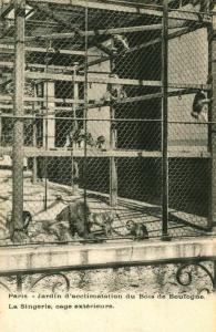 La Singerie - Cage extérieure