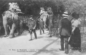 Promenade des Eléphants