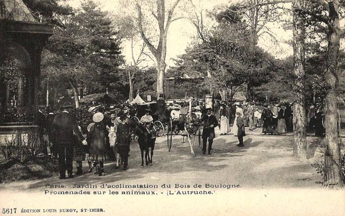 Promenade sur les animaux - L'Autruche
