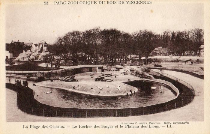 La Plage des Oiseaux - Le Rocher des Singes - Le Plateau des Lions