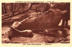 Eléphants