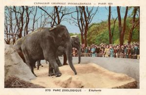 Eléphants