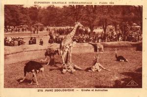 Girafes et Autruches - 1931