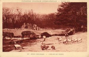 L'Enclos des Zèbres