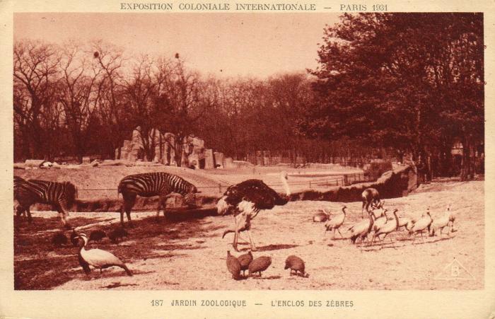 L'Enclos des Zèbres