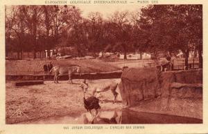 L'Enclos des Zèbres - 1931