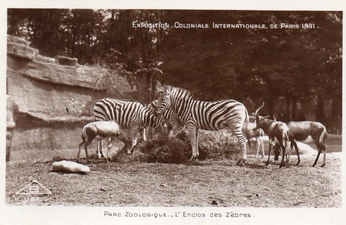 L'Enclos des Zèbres