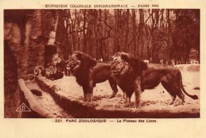 Le plateau des Lions