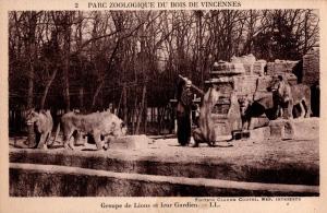 Groupe de Lions et leur Gardien
