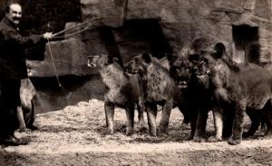 Un groupe de Lions devant leur Gardien