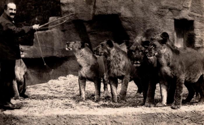 Un groupe de Lions devant leur Gardien