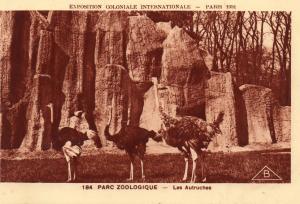Les Autruches