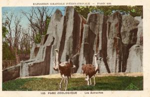 Les Autruches