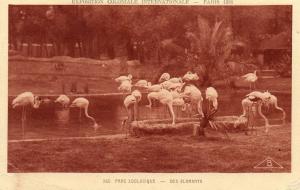 Des Flamants - 1931