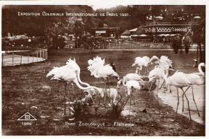 Flamants