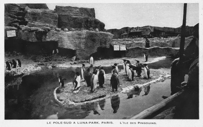 L'Ile des Pingouins