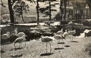 Le Parc aux bêtes