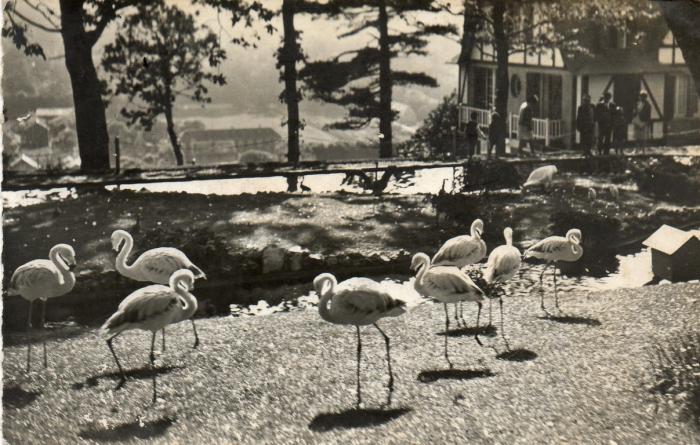 Le Parc aux bêtes