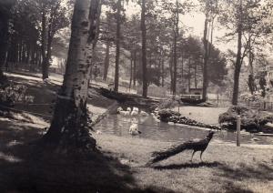 Le Parc aux bêtes