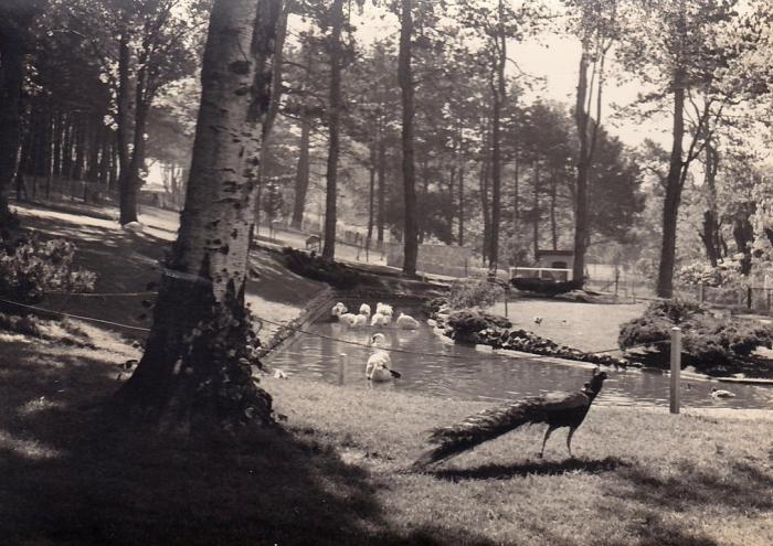 Le Parc aux bêtes