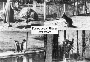 76 Parc animalier d'Etretat