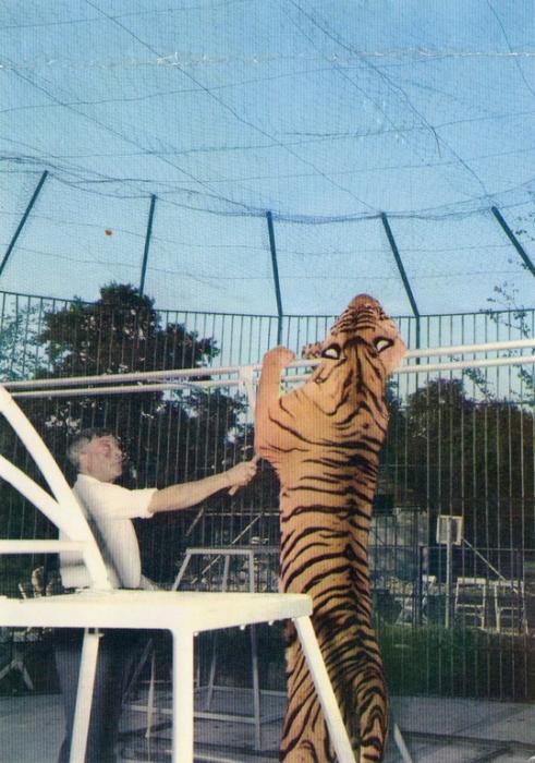 Animaux du Parc Zoologique du Bois d'Attily