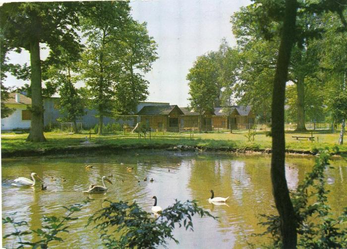 Le Plan d'eau du zoo du Bois d'Attily - 1971