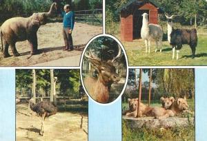 Animaux du Parc Zoologique du Bois d'Attily