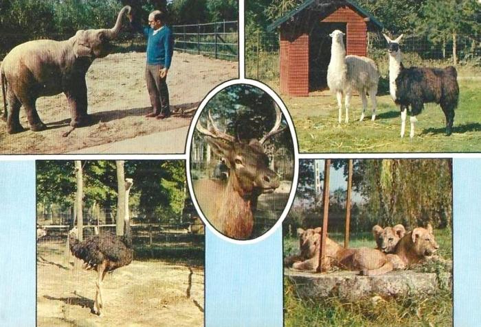 Animaux du Parc Zoologique du Bois d'Attily