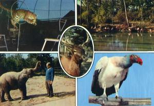 Animaux du Parc Zoologique du Bois d'Attily