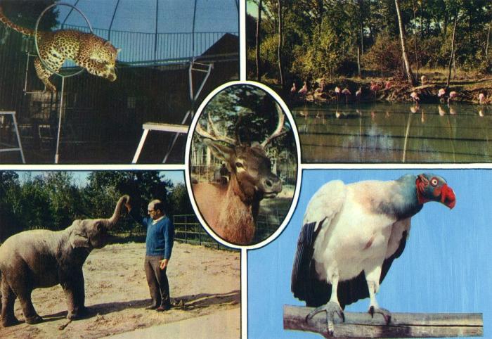Animaux du Parc Zoologique du Bois d'Attily