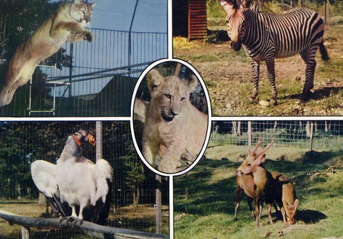 Animaux du Parc Zoologique du Bois d'Attily