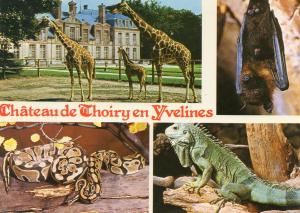 Château de Thoiry-en-Yvelines - 1986
