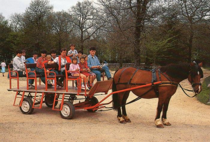 Visite en caléche - 1990