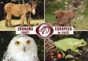 Zoorama Européen - Forêt de Chizé - 1987