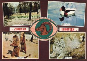 Zoorama Européen