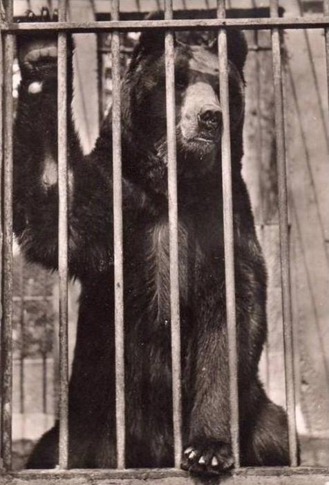 Ours