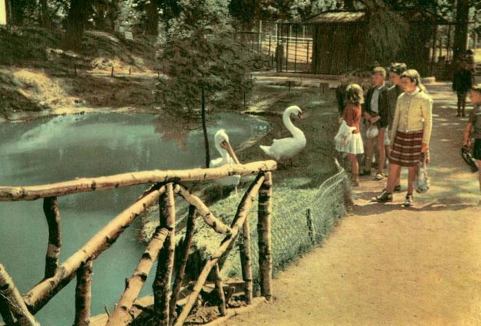 Le Zoo