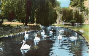 Le Zoo